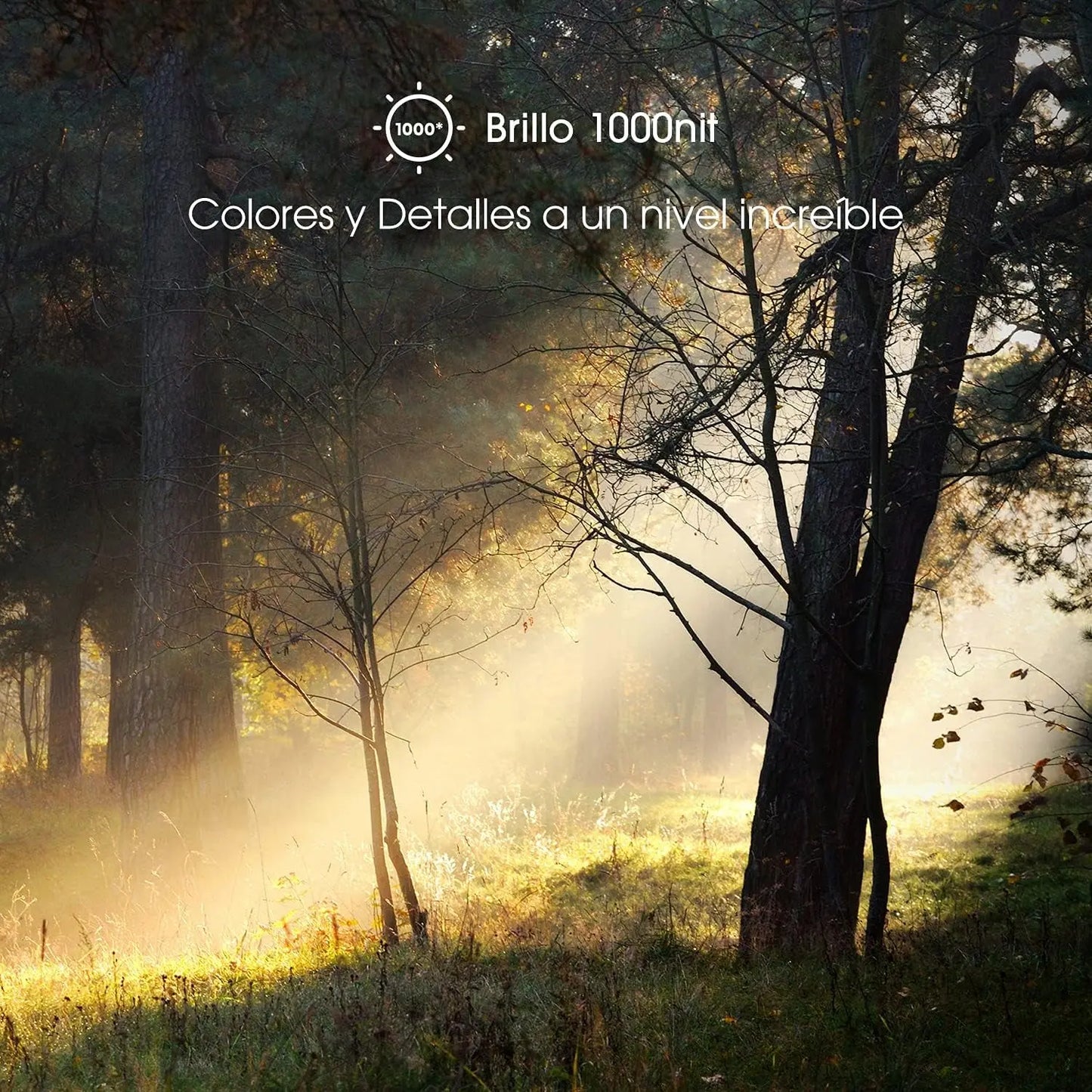 ULED Premium 65U7G QLED Series 65-Inch Android 4K Smart TV with Alexa Compatibility, 1000-Nit HDR10+, Dolby Vision & Atmos, 120Hz, HDMI 2.1, Game Mode Pro